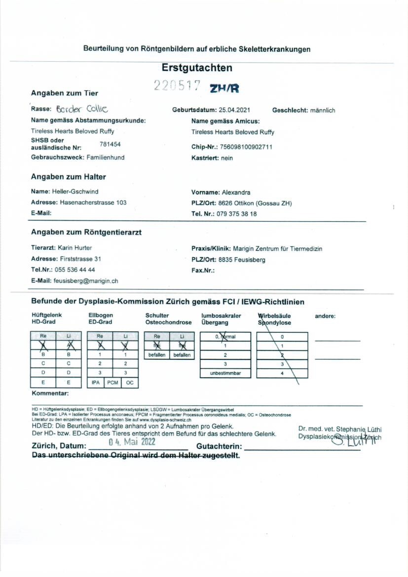 ZZP Formbewertung SKG